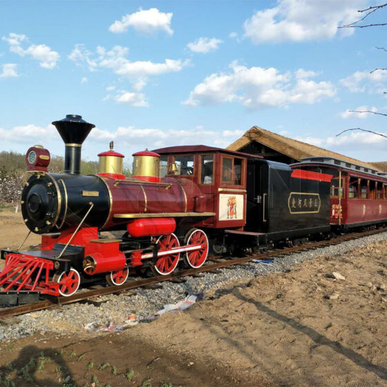 Large Track Sightseeing Train Large Track Sightseeing Train