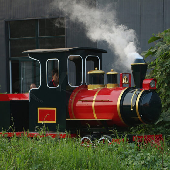 Medium Track Sightseeing Train Medium Track Sightseeing Train