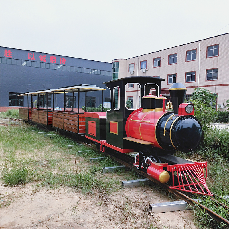 Medium Track Sightseeing Train